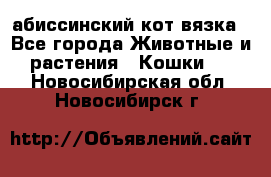 абиссинский кот вязка - Все города Животные и растения » Кошки   . Новосибирская обл.,Новосибирск г.